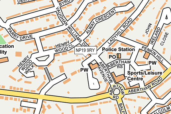 NP19 9RY map - OS OpenMap – Local (Ordnance Survey)