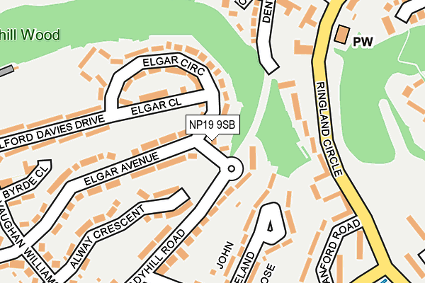 NP19 9SB map - OS OpenMap – Local (Ordnance Survey)