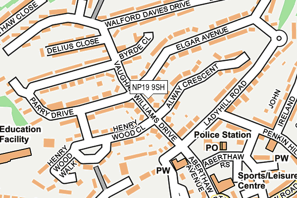 NP19 9SH map - OS OpenMap – Local (Ordnance Survey)