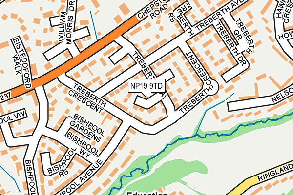 NP19 9TD map - OS OpenMap – Local (Ordnance Survey)
