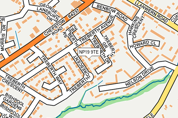 NP19 9TE map - OS OpenMap – Local (Ordnance Survey)