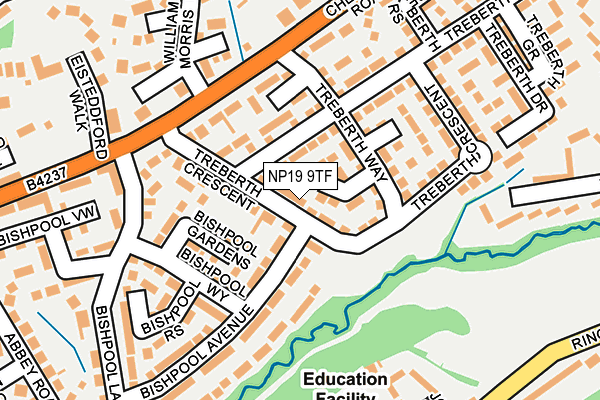 NP19 9TF map - OS OpenMap – Local (Ordnance Survey)
