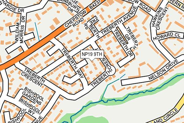 NP19 9TH map - OS OpenMap – Local (Ordnance Survey)