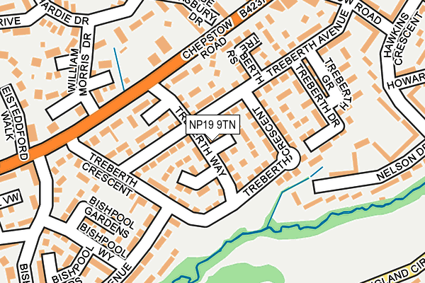 NP19 9TN map - OS OpenMap – Local (Ordnance Survey)