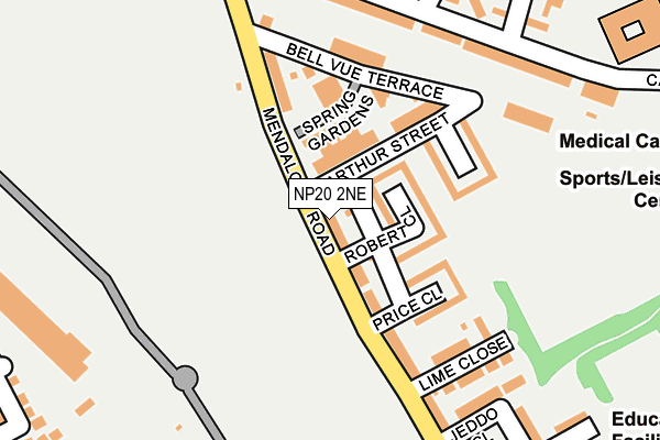 NP20 2NE map - OS OpenMap – Local (Ordnance Survey)