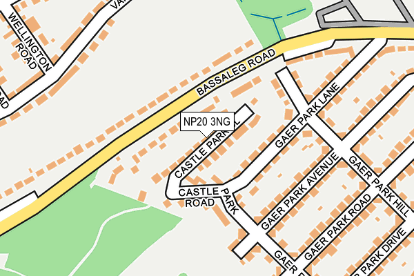 NP20 3NG map - OS OpenMap – Local (Ordnance Survey)