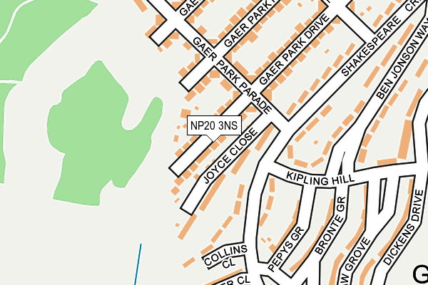 NP20 3NS map - OS OpenMap – Local (Ordnance Survey)