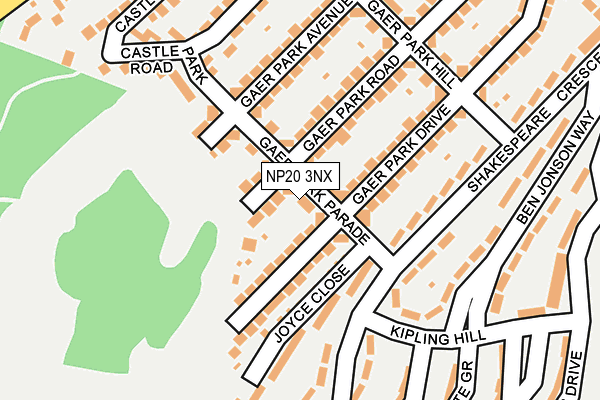 NP20 3NX map - OS OpenMap – Local (Ordnance Survey)