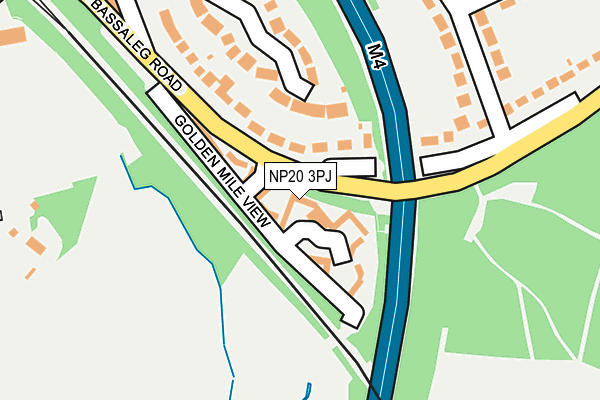 NP20 3PJ map - OS OpenMap – Local (Ordnance Survey)