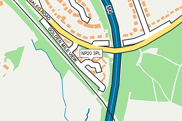 NP20 3PL map - OS OpenMap – Local (Ordnance Survey)