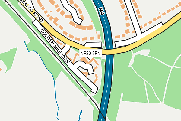 NP20 3PN map - OS OpenMap – Local (Ordnance Survey)