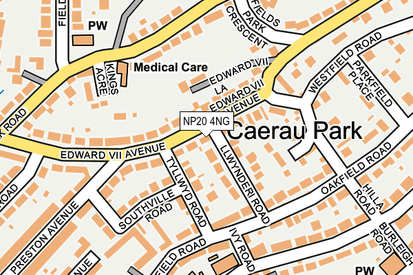 NP20 4NG map - OS OpenMap – Local (Ordnance Survey)