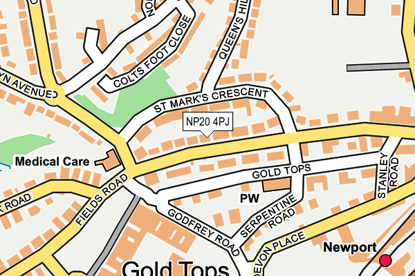 NP20 4PJ map - OS OpenMap – Local (Ordnance Survey)