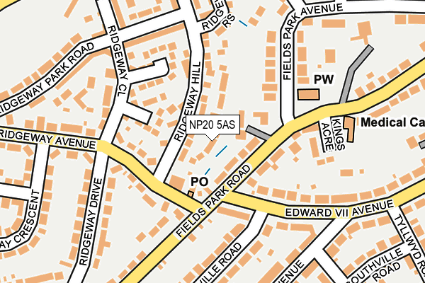NP20 5AS map - OS OpenMap – Local (Ordnance Survey)