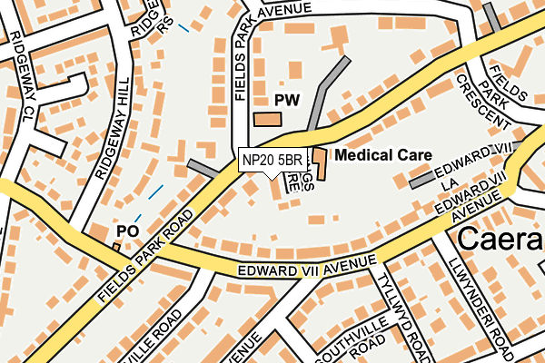 NP20 5BR map - OS OpenMap – Local (Ordnance Survey)