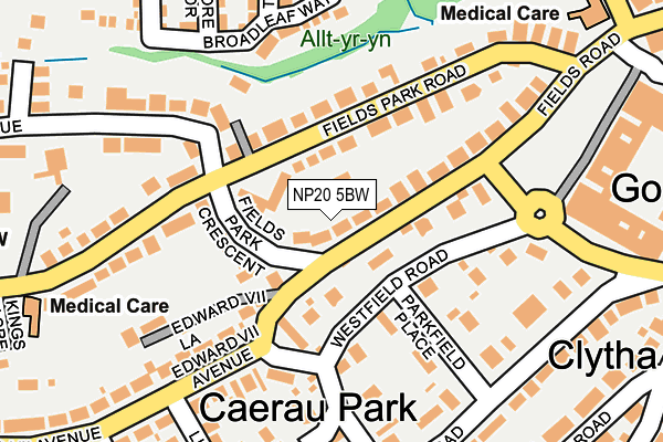 NP20 5BW map - OS OpenMap – Local (Ordnance Survey)