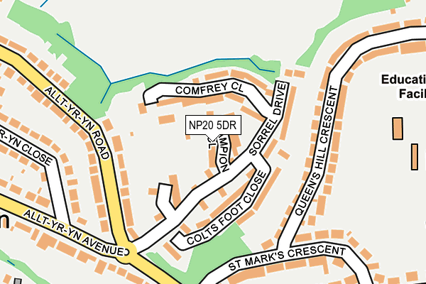 NP20 5DR map - OS OpenMap – Local (Ordnance Survey)