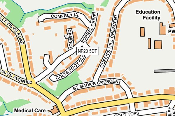 NP20 5DT map - OS OpenMap – Local (Ordnance Survey)