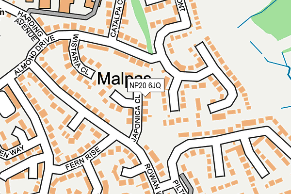 NP20 6JQ map - OS OpenMap – Local (Ordnance Survey)