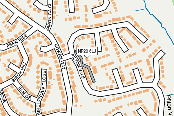 NP20 6LJ map - OS OpenMap – Local (Ordnance Survey)