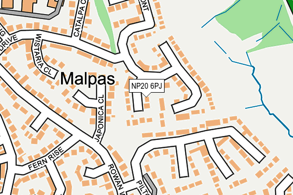 NP20 6PJ map - OS OpenMap – Local (Ordnance Survey)