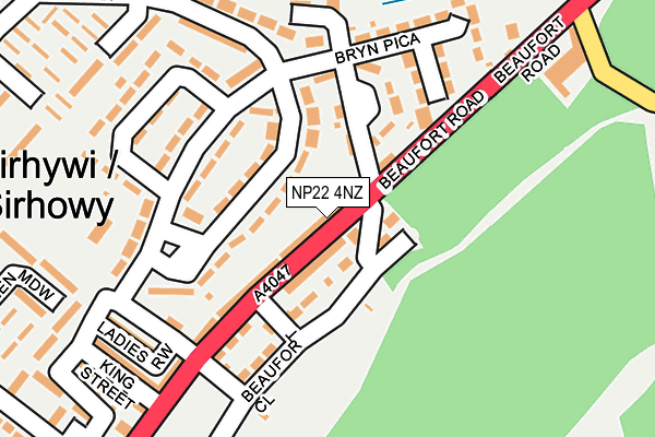 NP22 4NZ map - OS OpenMap – Local (Ordnance Survey)