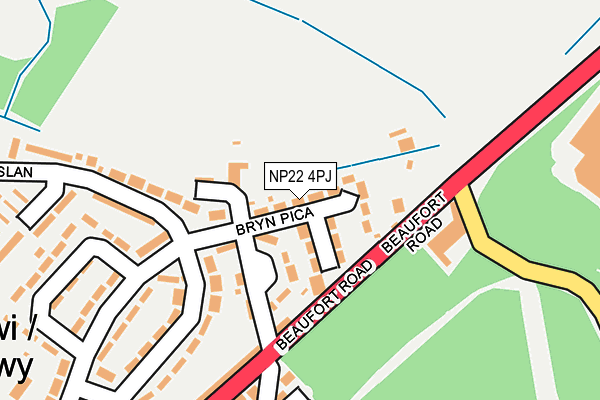 NP22 4PJ map - OS OpenMap – Local (Ordnance Survey)