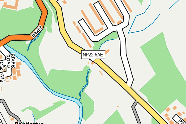 NP22 5AE map - OS OpenMap – Local (Ordnance Survey)