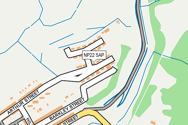 NP22 5AP map - OS OpenMap – Local (Ordnance Survey)