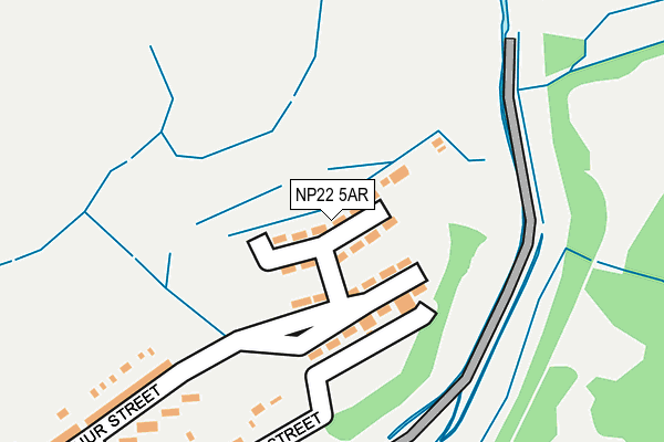 NP22 5AR map - OS OpenMap – Local (Ordnance Survey)