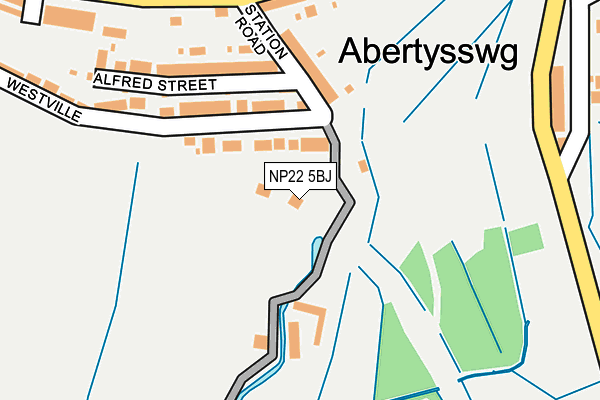 NP22 5BJ map - OS OpenMap – Local (Ordnance Survey)