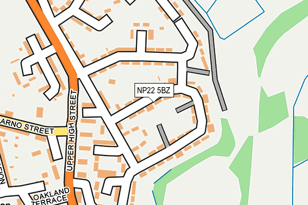 NP22 5BZ map - OS OpenMap – Local (Ordnance Survey)
