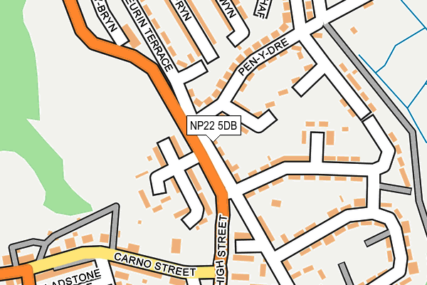 NP22 5DB map - OS OpenMap – Local (Ordnance Survey)
