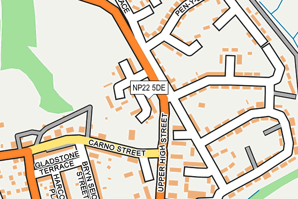 NP22 5DE map - OS OpenMap – Local (Ordnance Survey)