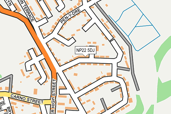 NP22 5DJ map - OS OpenMap – Local (Ordnance Survey)
