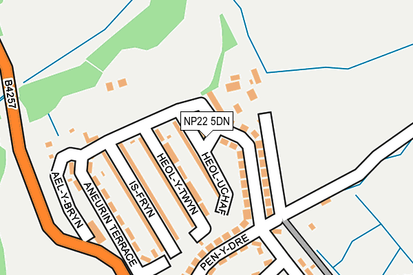 NP22 5DN map - OS OpenMap – Local (Ordnance Survey)
