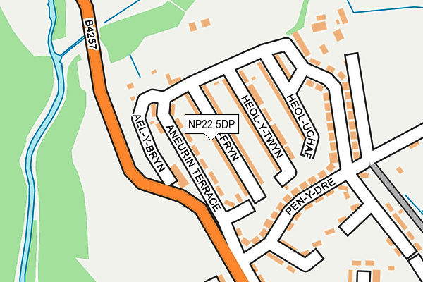 NP22 5DP map - OS OpenMap – Local (Ordnance Survey)