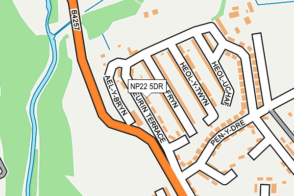 NP22 5DR map - OS OpenMap – Local (Ordnance Survey)