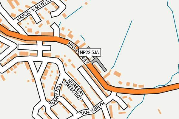 NP22 5JA map - OS OpenMap – Local (Ordnance Survey)