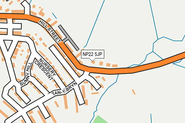 NP22 5JP map - OS OpenMap – Local (Ordnance Survey)