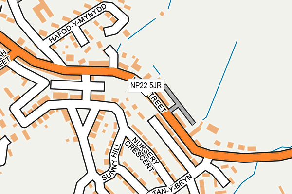 NP22 5JR map - OS OpenMap – Local (Ordnance Survey)
