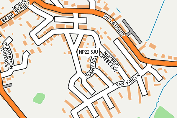 NP22 5JU map - OS OpenMap – Local (Ordnance Survey)