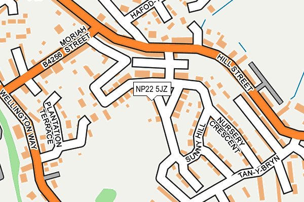 NP22 5JZ map - OS OpenMap – Local (Ordnance Survey)