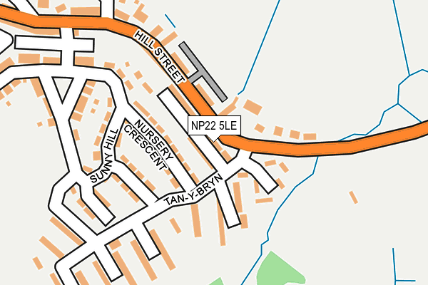 NP22 5LE map - OS OpenMap – Local (Ordnance Survey)