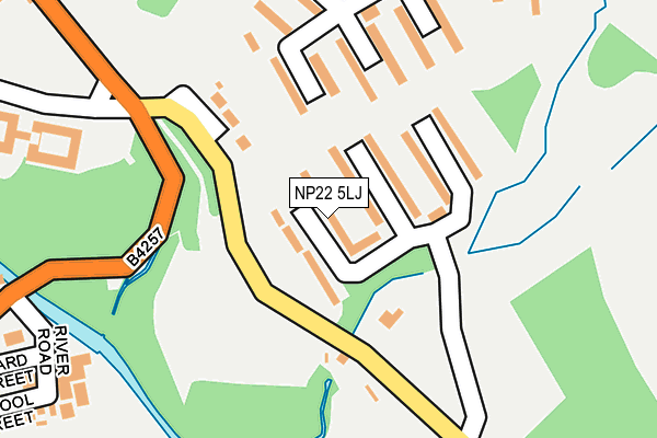 NP22 5LJ map - OS OpenMap – Local (Ordnance Survey)