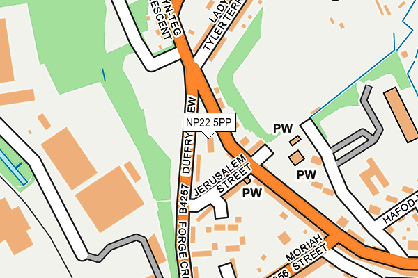 NP22 5PP map - OS OpenMap – Local (Ordnance Survey)