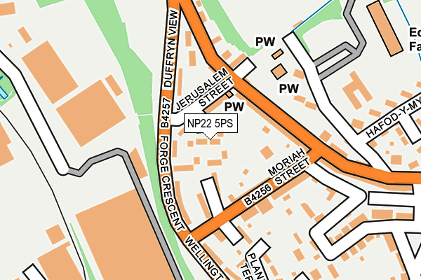 NP22 5PS map - OS OpenMap – Local (Ordnance Survey)
