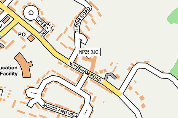 NP25 3JQ map - OS OpenMap – Local (Ordnance Survey)