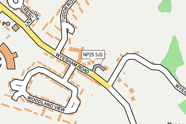 NP25 3JS map - OS OpenMap – Local (Ordnance Survey)