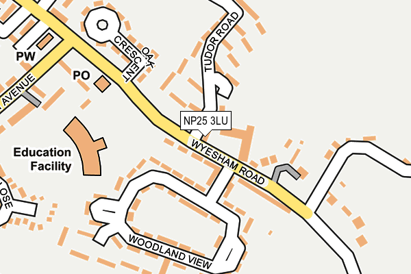 NP25 3LU map - OS OpenMap – Local (Ordnance Survey)